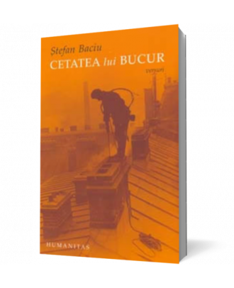 Cetatea lui Bucur - Coperta 3D