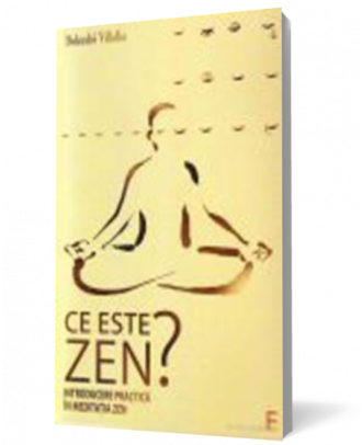 Ce este zen? - Coperta 3D