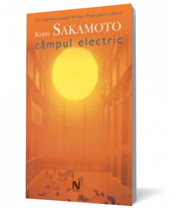 Câmpul electric - Coperta 3D