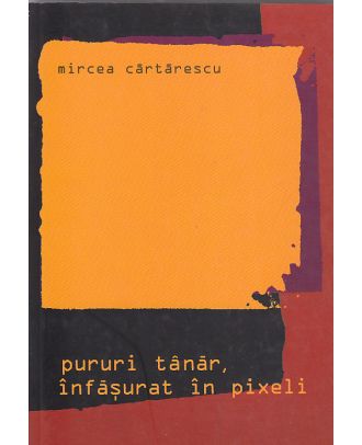 Pururi tinar infasurat in pixeli ii