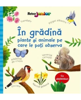 In gradina. Plante si animale pe care le poti observa