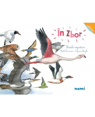 În zbor - Păsările migratoare