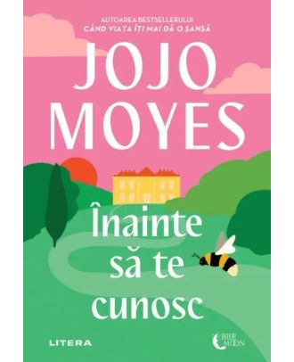 Inainte sa te cunosc
