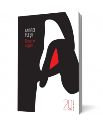 Despre ingeri - Coperta 3D