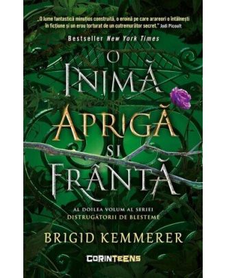O inimă aprigă și frântă (seria Distrugătorii de blesteme, vol. 2)