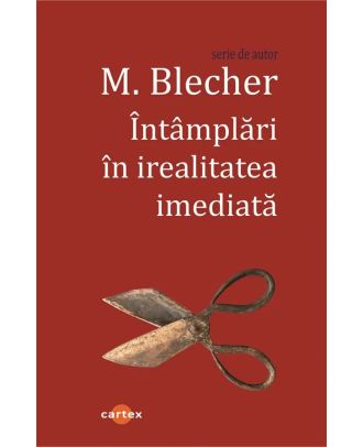 Intamplari in irealitatea imediata