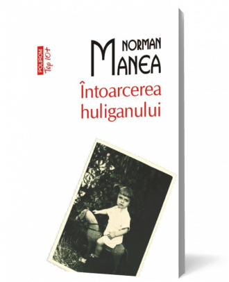 Intoarcerea huliganului - Coperta 3D