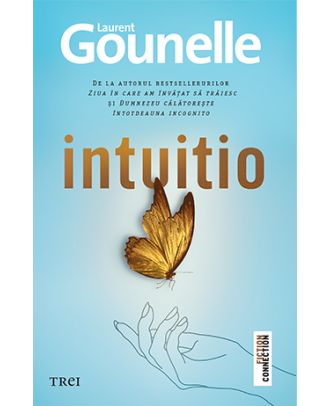 Intuitio