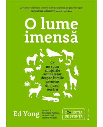 O lume imensă