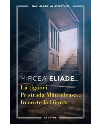 La tiganci. Pe strada Mantuleasa. In curte la Dionis