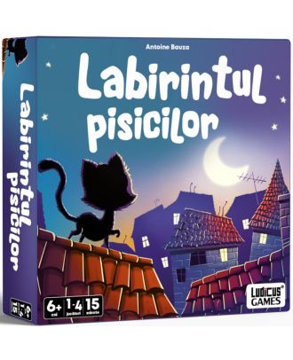 Labirintul pisicilor
