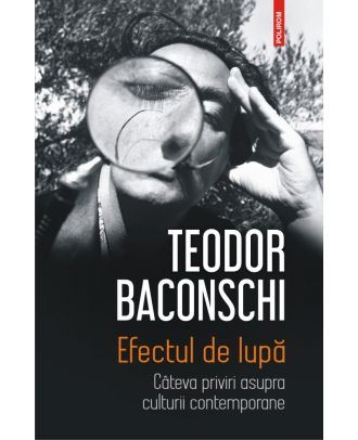 Efectul de lupă. Câteva priviri asupra culturii contemporane
