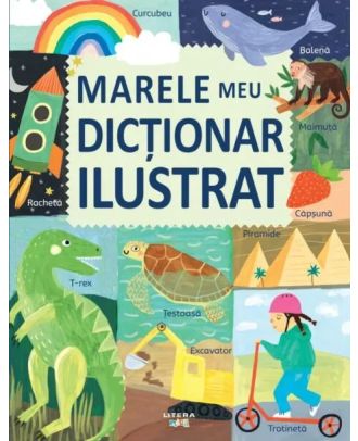 Marele meu dictionar ilustrat