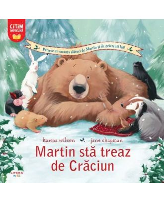Martin sta treaz de Craciun