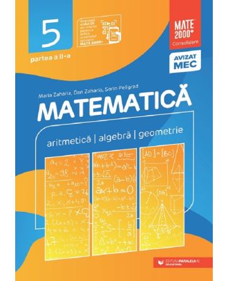 Matematica. Consolidare. Clasa 5 - Partea 2