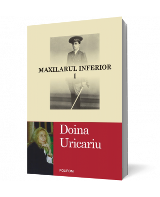 Maxilarul inferior - Coperta 3D