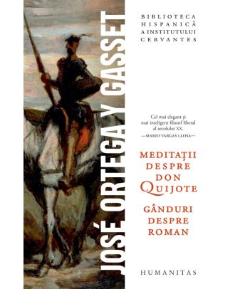 Meditații despre Don Quijote. Gânduri despre roman