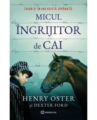 Micul ingrijitor de cai