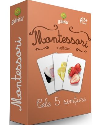 Montessori. Clasificare: Cele 5 simturi