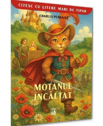 Motanul incaltat