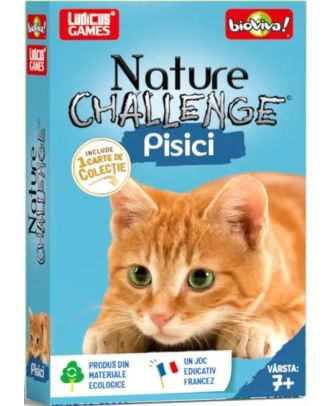 Nature Challenge. Pisici