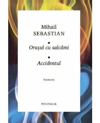 Orașul cu salcâmi. Accidentul