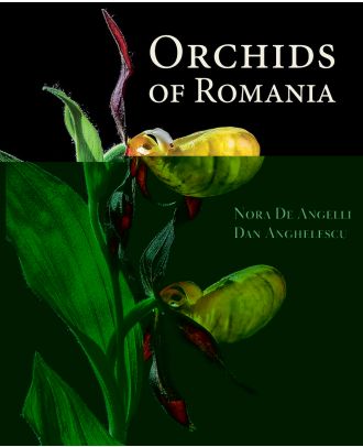 Orchids of Romania