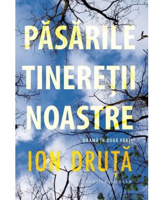 Păsările tinereții noastre