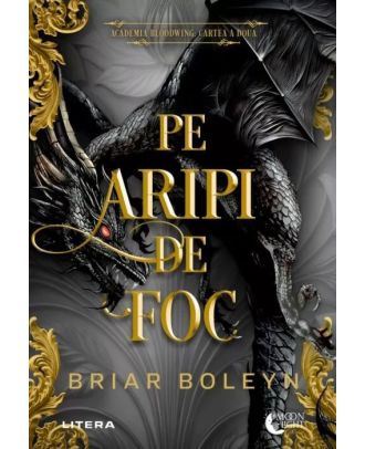Pe aripi de foc. Cartea a doua