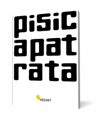Pisica patrata - Coperta 3D