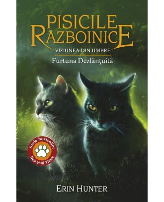 Pisicile Razboinice (vol. 36). Viziunea din umbre. Furtuna Dezlantuita