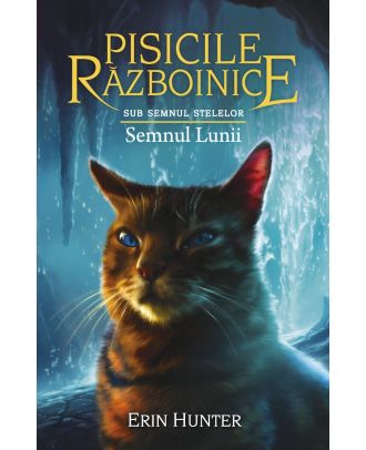 Pisicile razboinice (vol. 22): Sub semnul stelelor. Semnul lunii