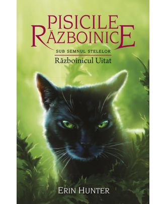 Pisicile razboinice (vol. 23): Sub semnul stelelor. Razboinicul uitat