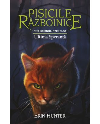 Pisicile războinice (vol. 24): Sub semnul stelelor. Ultima speranță