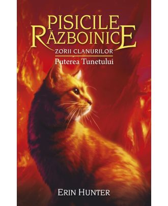 Pisicile razboinice (vol. 26): Zorii clanurilor. Puterea tunetului