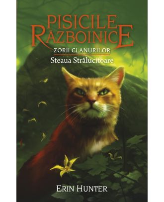 Pisicile razboinice (vol. 28): Zorii clanurilor. Steaua stralucitoare