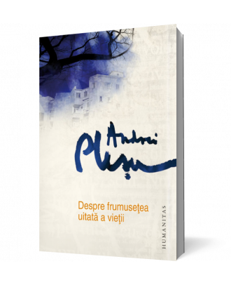 Despre frumusetea - Coperta 3D