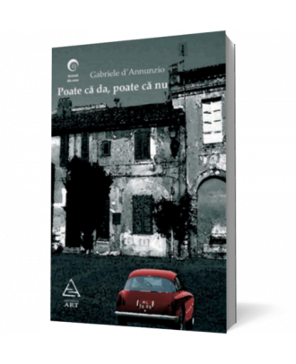 Poate ca da poate ca nu - Coperta 3D
