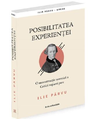 Posibilitatea experientei