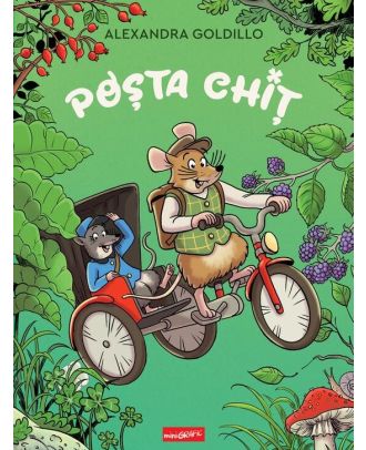Poșta Chiț