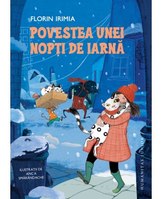 Povestea unei nopți de iarnă
