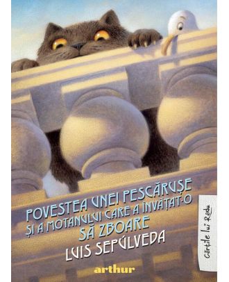 Povestea unei pescărușe și a motanului care a învățat-o să zboare