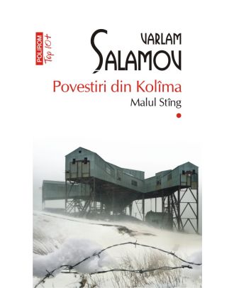 Povestiri din Kolîma (vol. I): Malul stâng