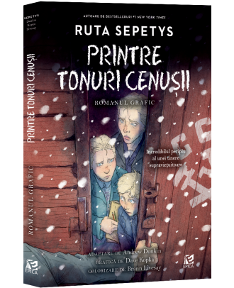 Printre tonuri cenusii. Romanul grafic