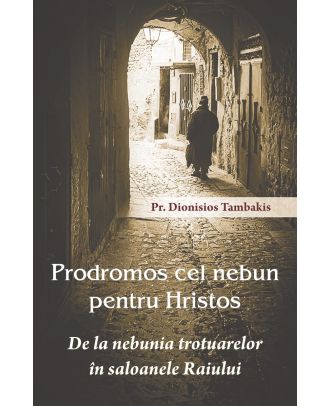 Prodromos cel nebun pentru Hristos. De la nebunia trotuarelor în saloanele Raiului