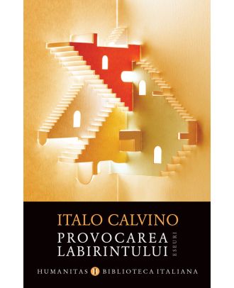 Provocarea labirintului