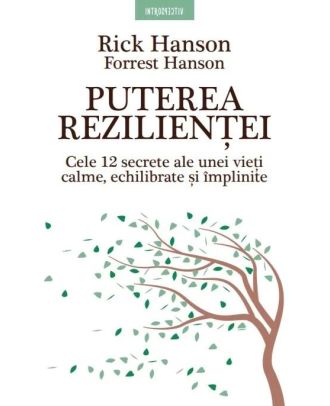 Puterea rezilienței. Cele 12 secrete ale unei vieți calme, echilibrate și împlinite