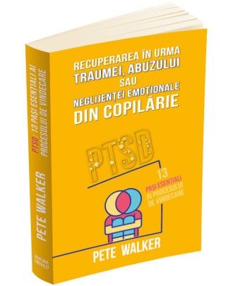 Recuperarea in urma traumei, abuzului sau neglijentei emotionale. PTSD: 13 pasi esentiali ai procesului de vindecare