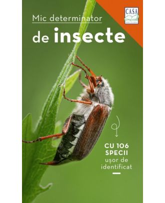 Mic determinator de insecte