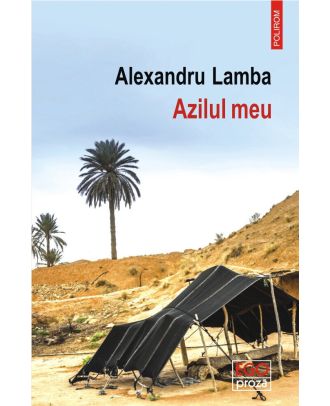 Azilul meu